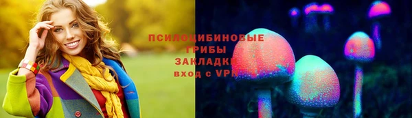дурь Алзамай