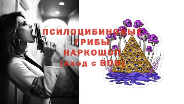 дурь Алзамай